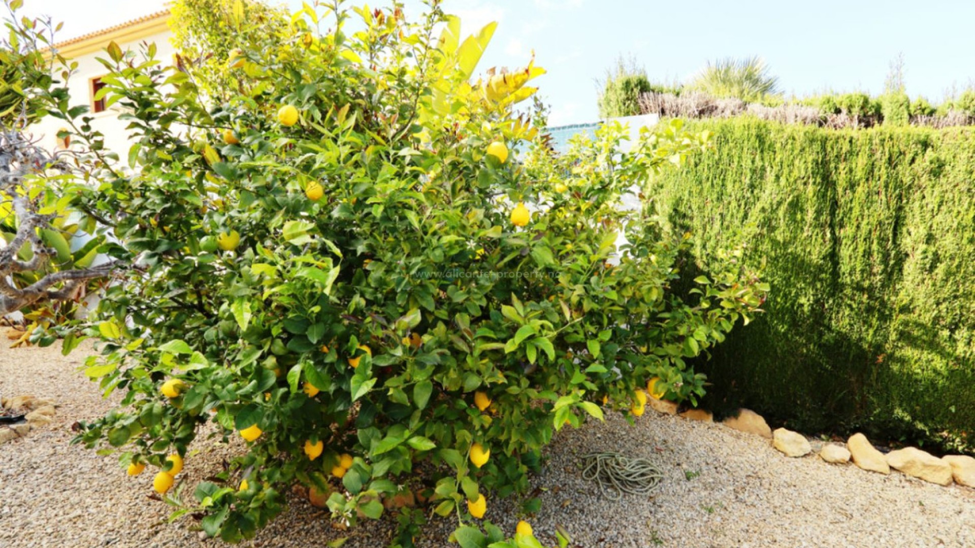 Hus / Villa i La Nucia Centro