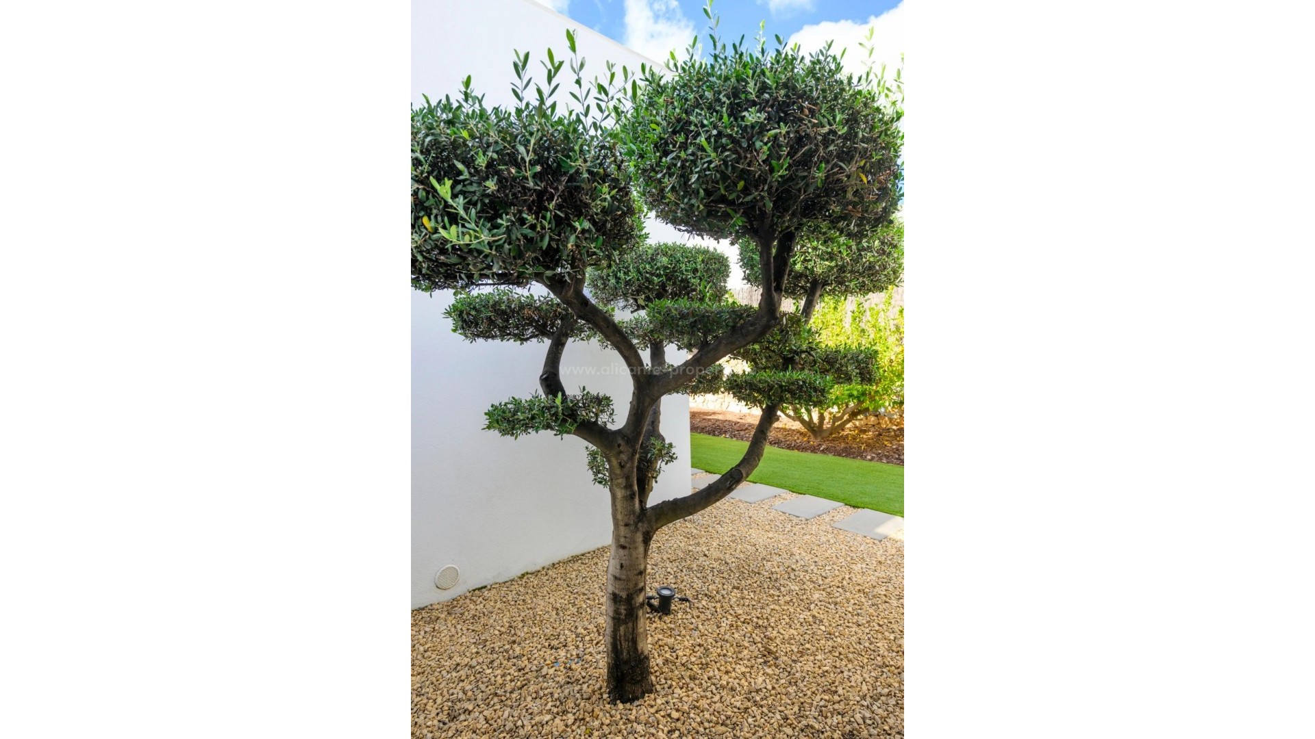 Hus / Villa i Las Colinas Golf Resort