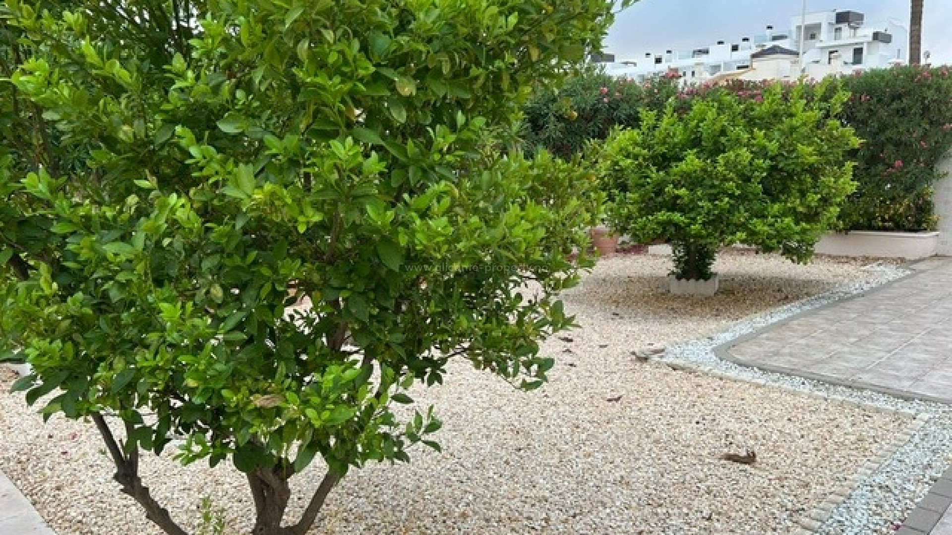 Hus / Villa i Los Dolses