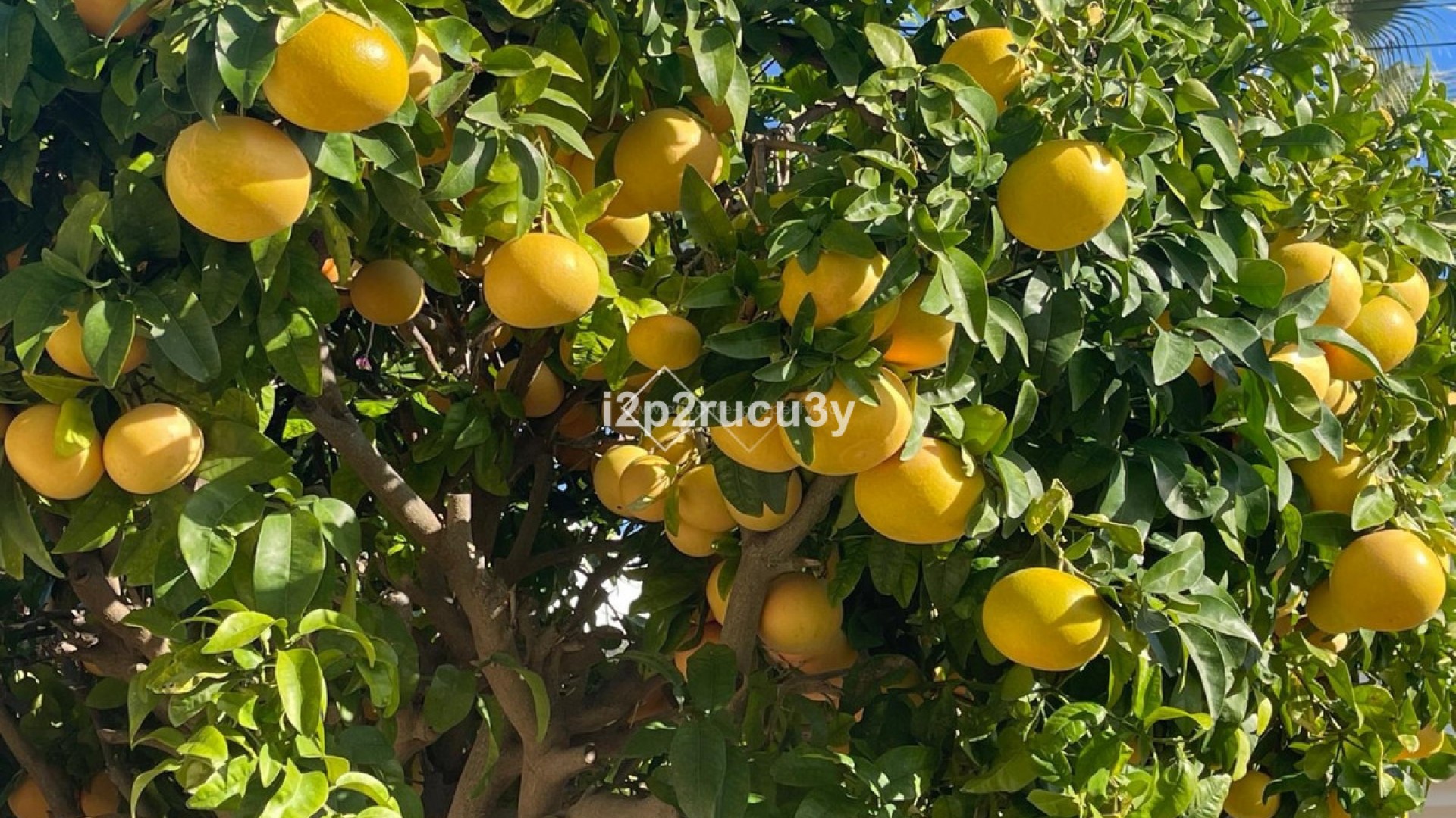 Hus / Villa i Moraira