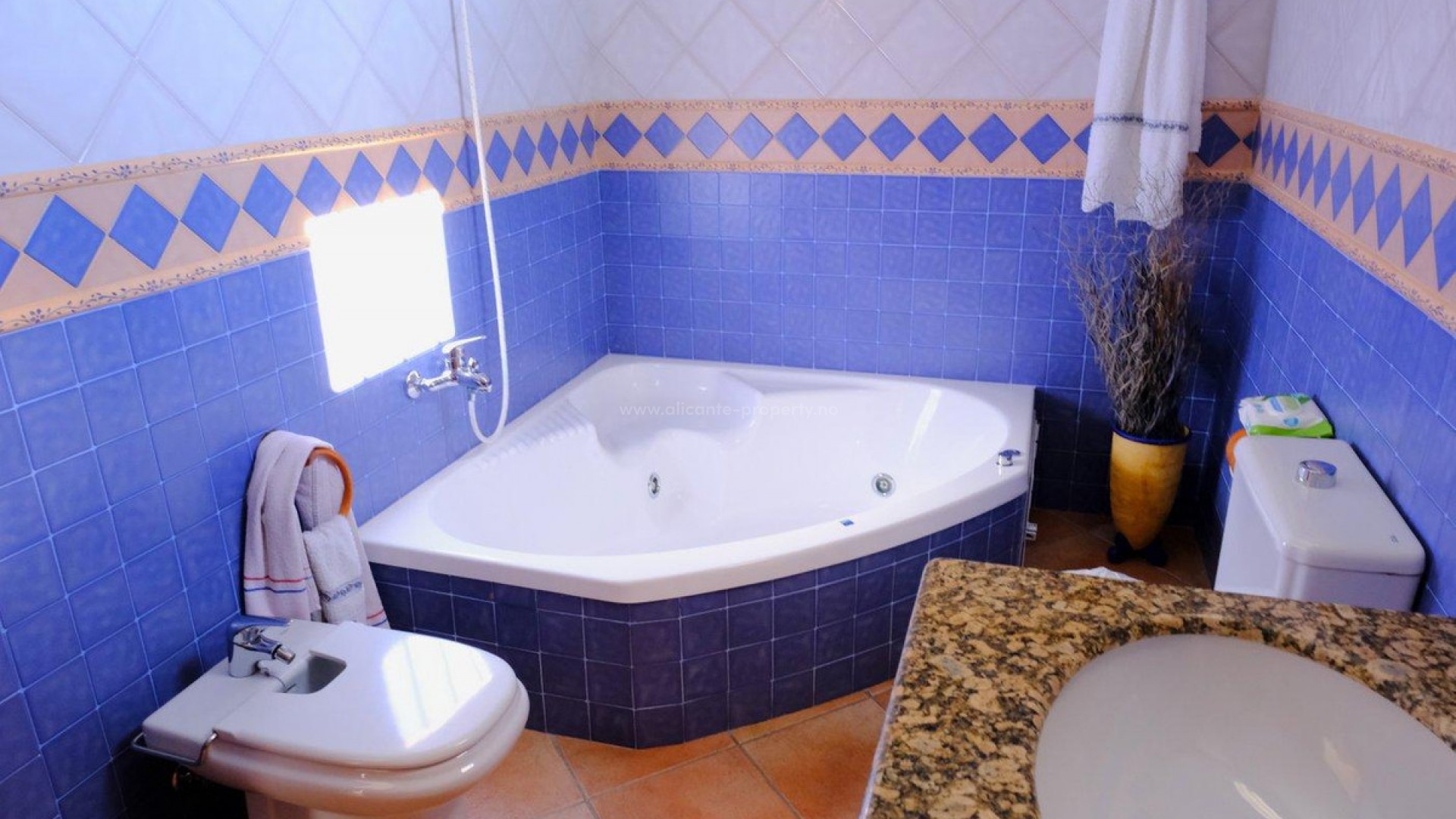 Hus / Villa i Orihuela Centro