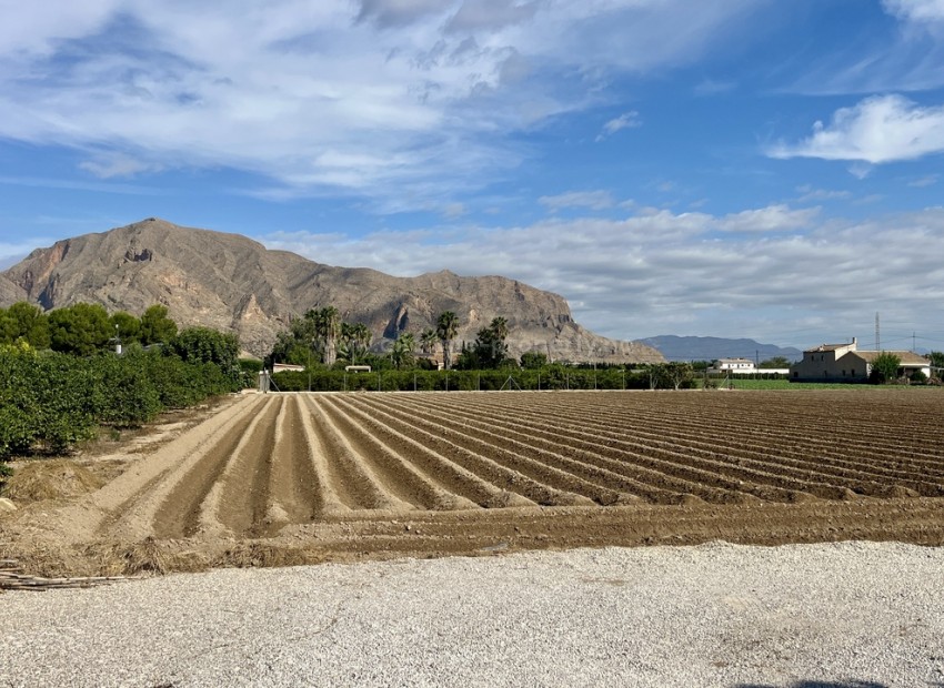 Hus / Villa i Orihuela