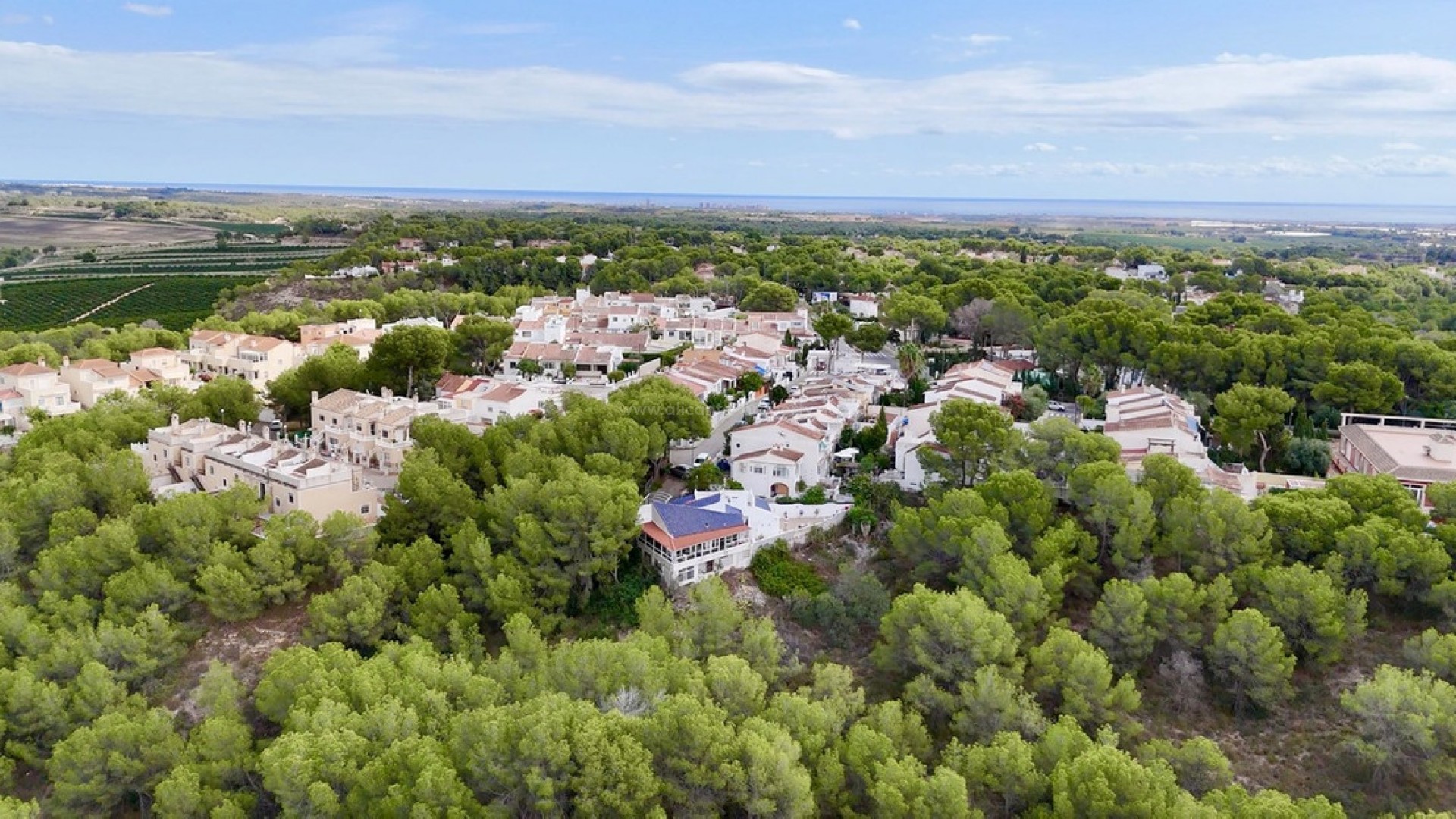 Hus / Villa i Pinar de Campoverde