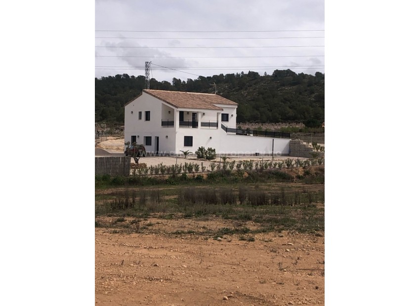 Hus / Villa i Pinoso Centro