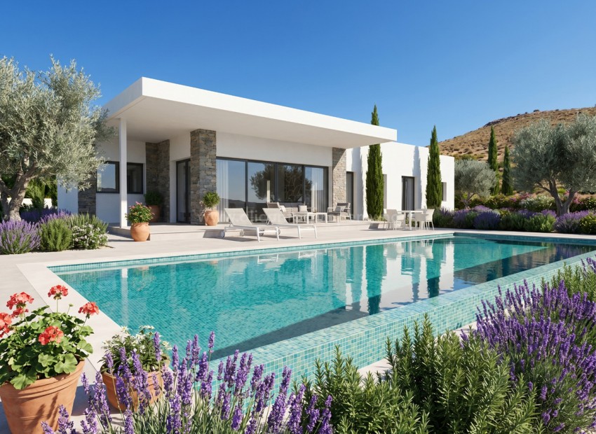 Hus / Villa i Pinoso Centro