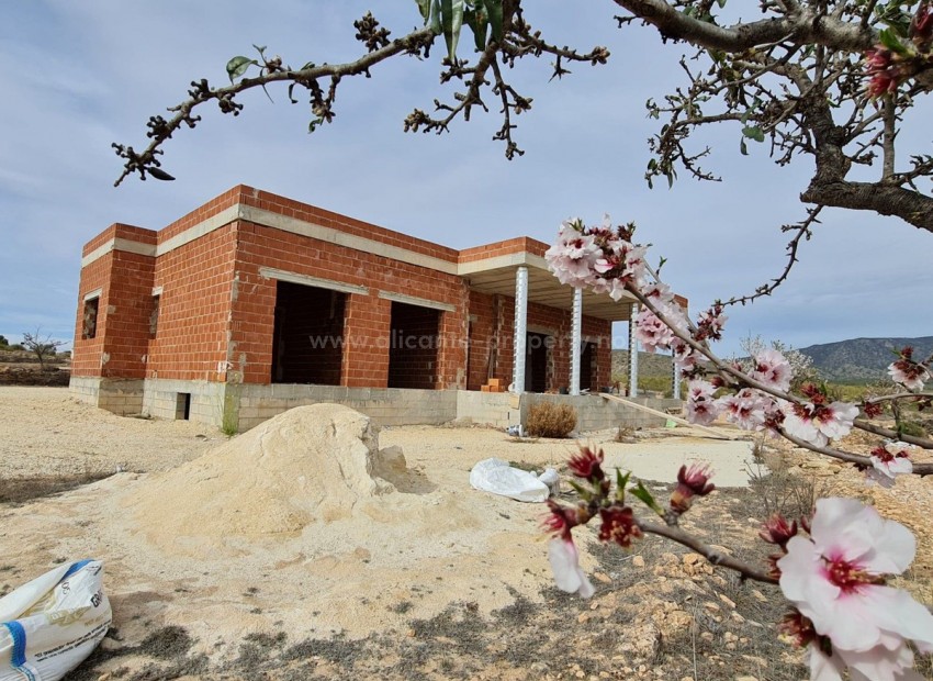 Hus / Villa i Pinoso Centro