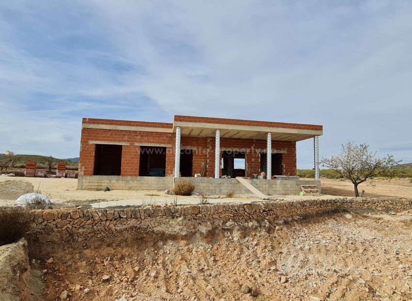 Hus / Villa i Pinoso Centro
