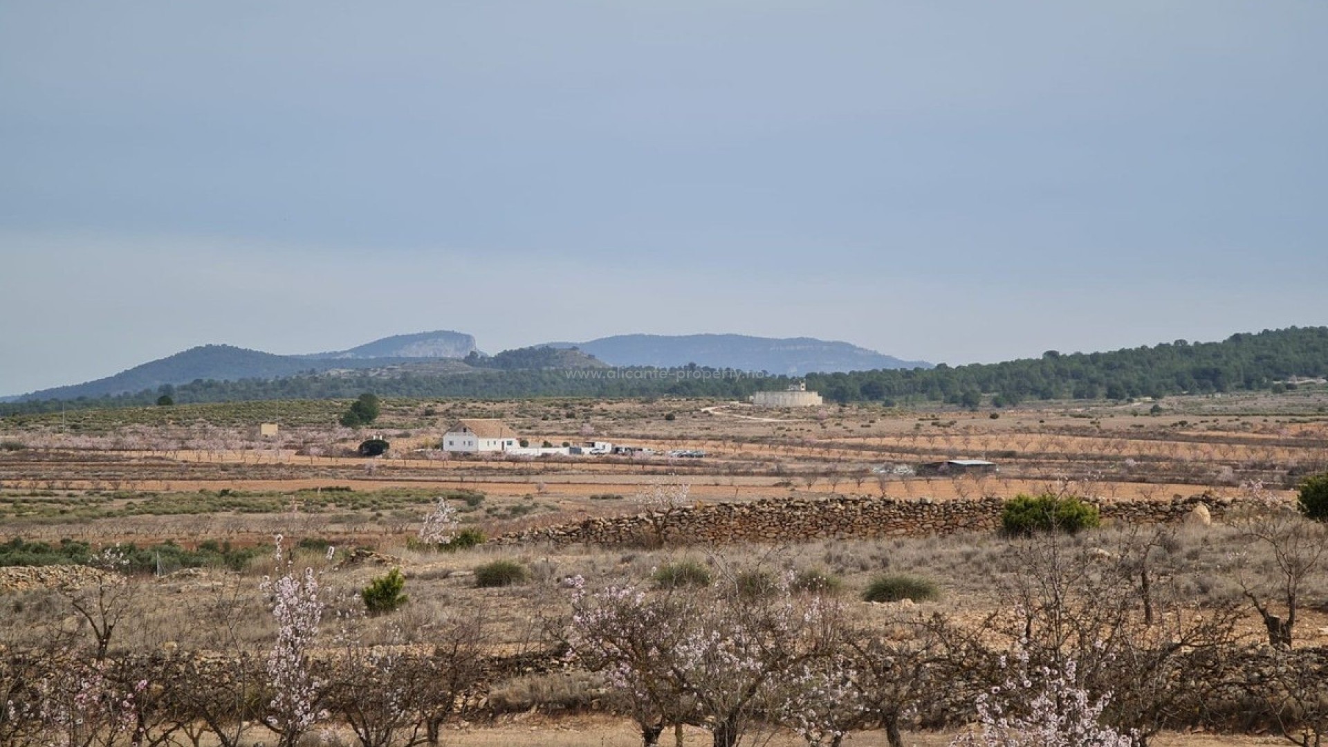 Hus / Villa i Pinoso Centro