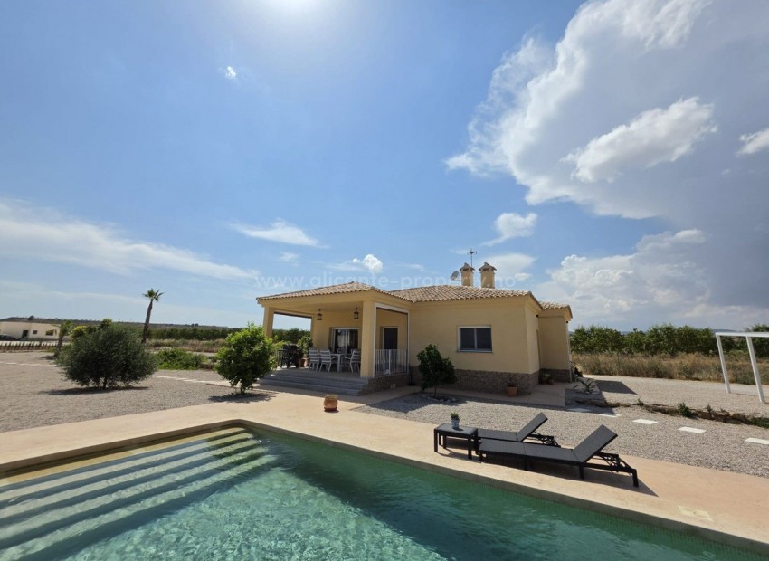 Hus / Villa i Pinoso Centro