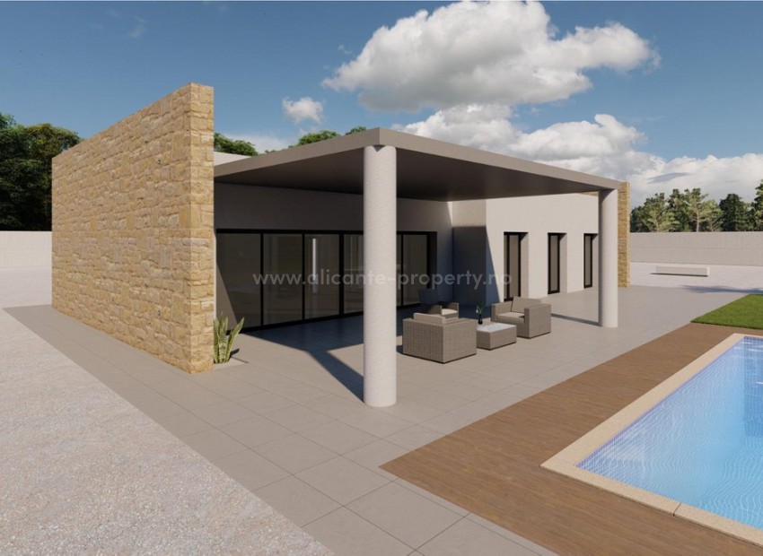 Hus / Villa i Pinoso Centro