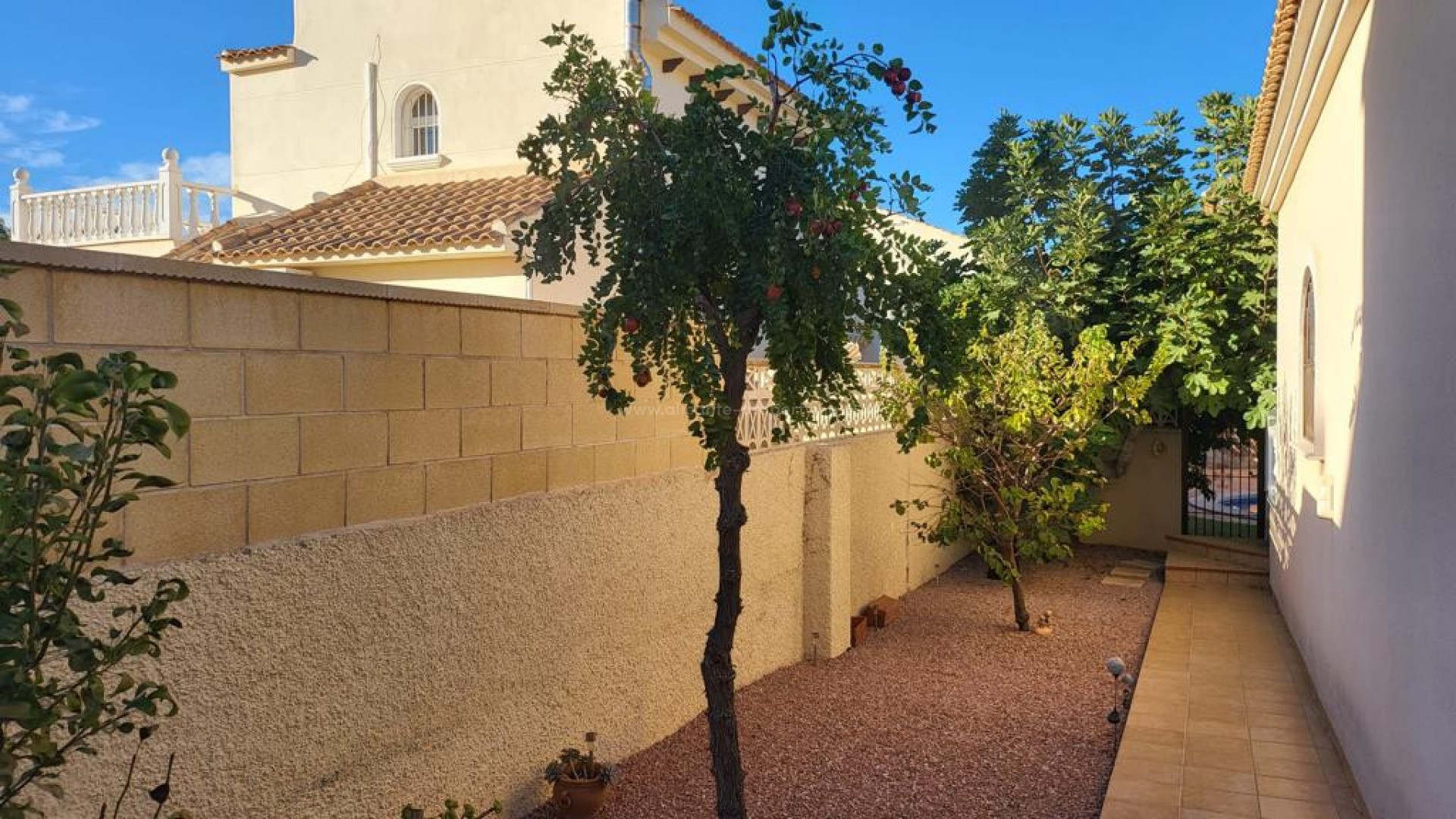 Hus / Villa i Playa Flamenca