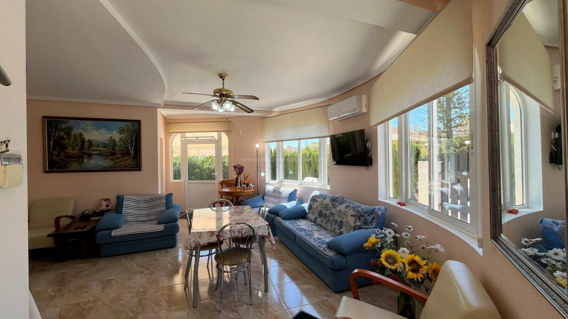 Hus / Villa i Playa Flamenca