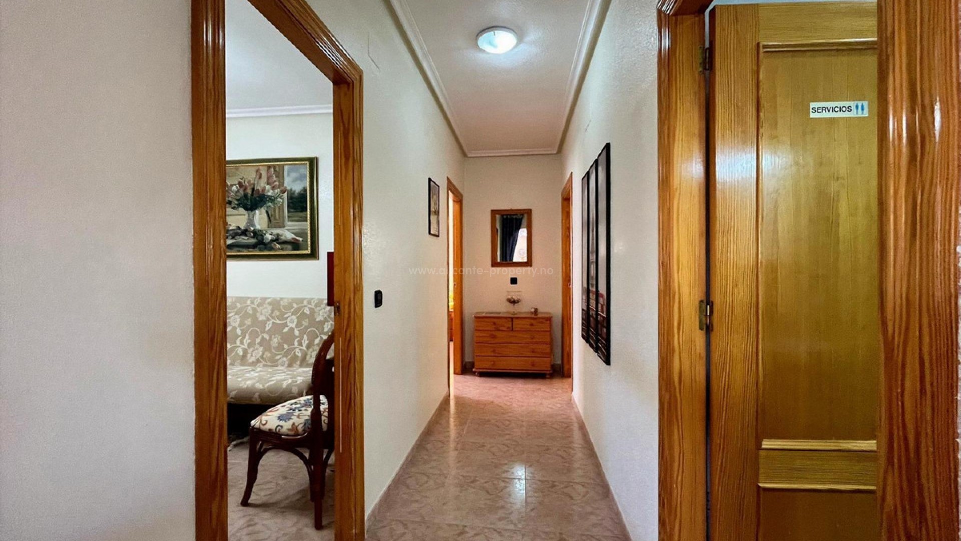 Hus / Villa i Playa Flamenca