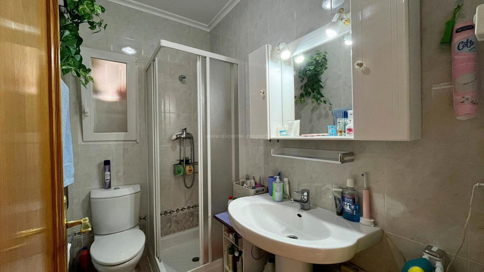 Hus / Villa i Playa Flamenca
