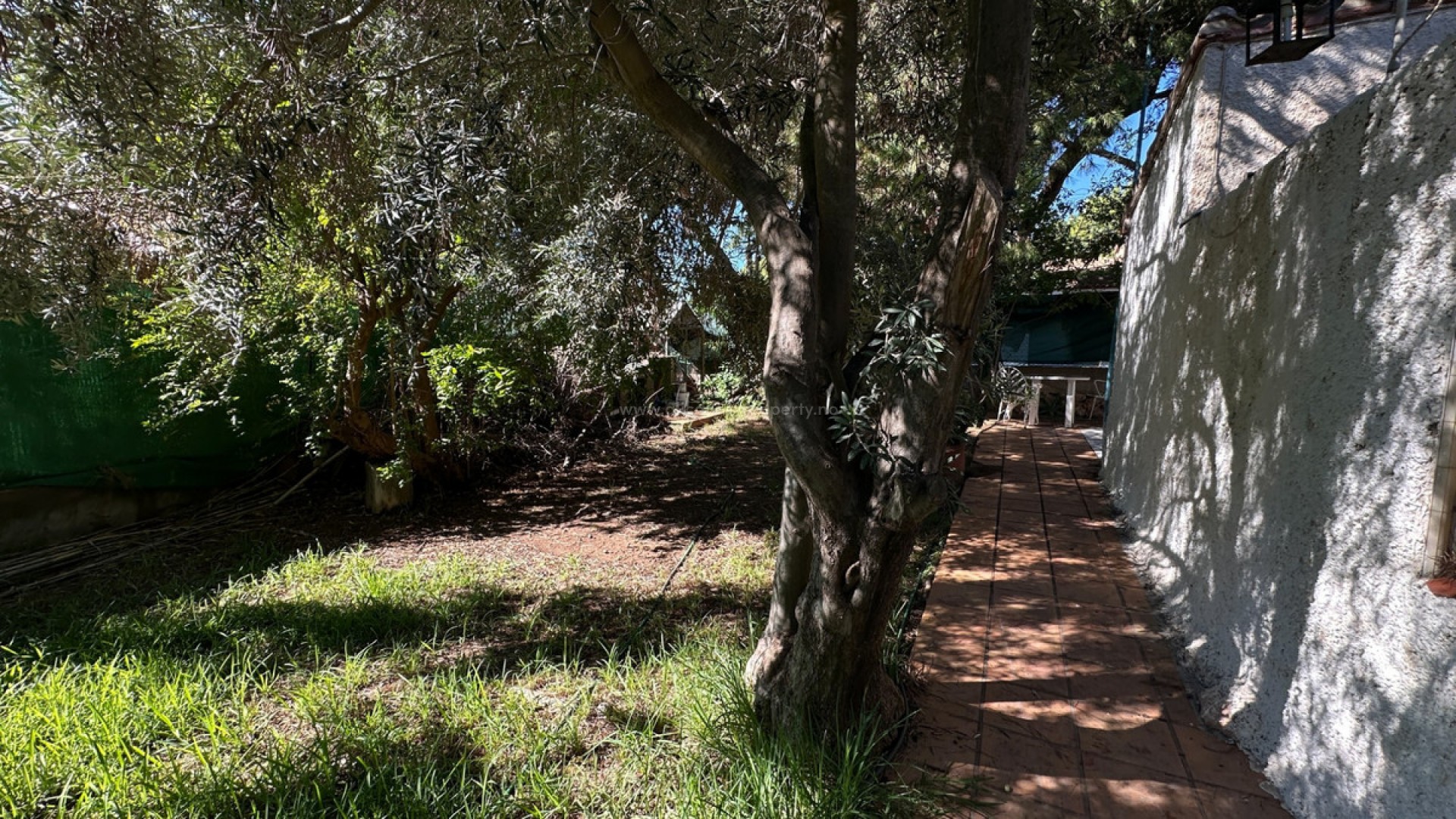 Hus / Villa i Punta Prima