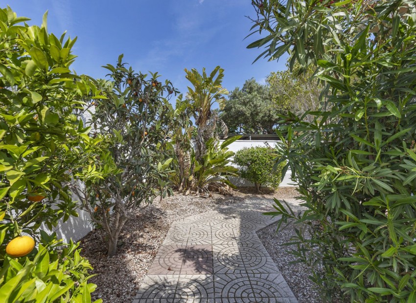 Hus / Villa i San Fulgencio Centro