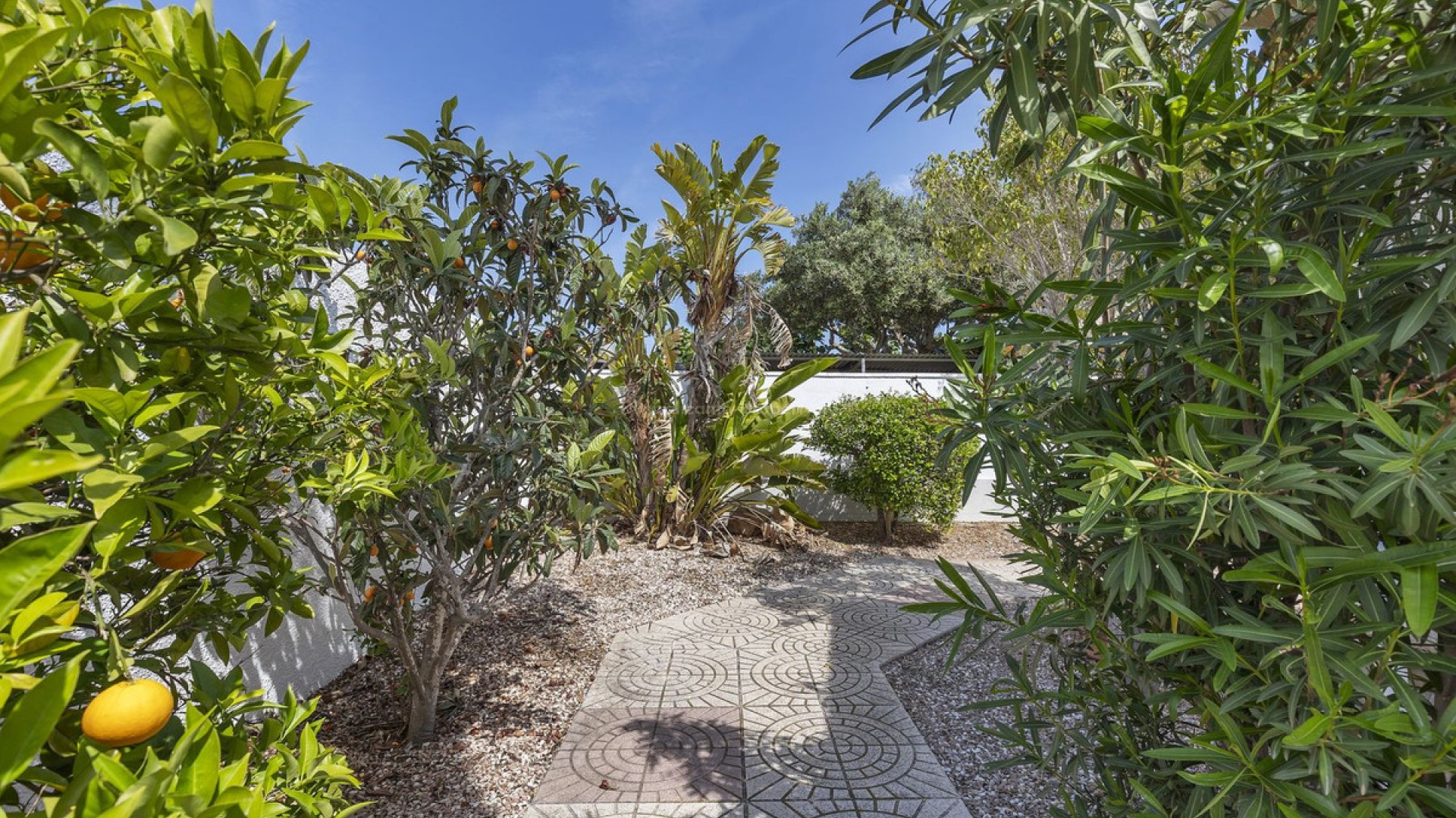 Hus / Villa i San Fulgencio Centro