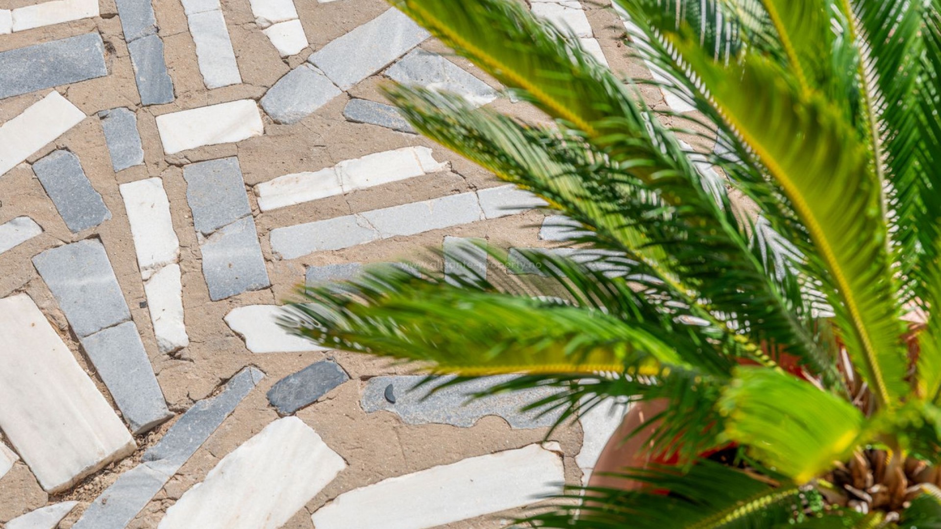 Hus / Villa i San Juan de Alicante Centro