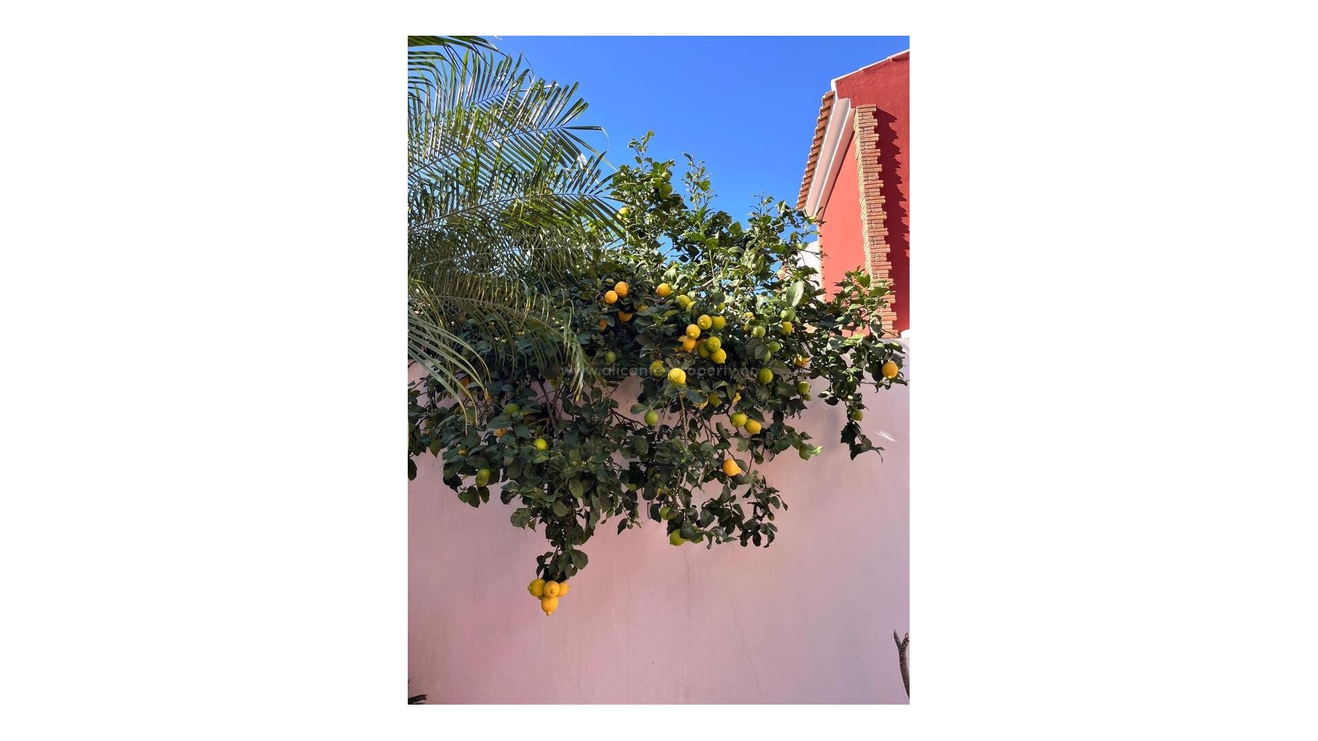 Hus / Villa i Torre De La Horadada