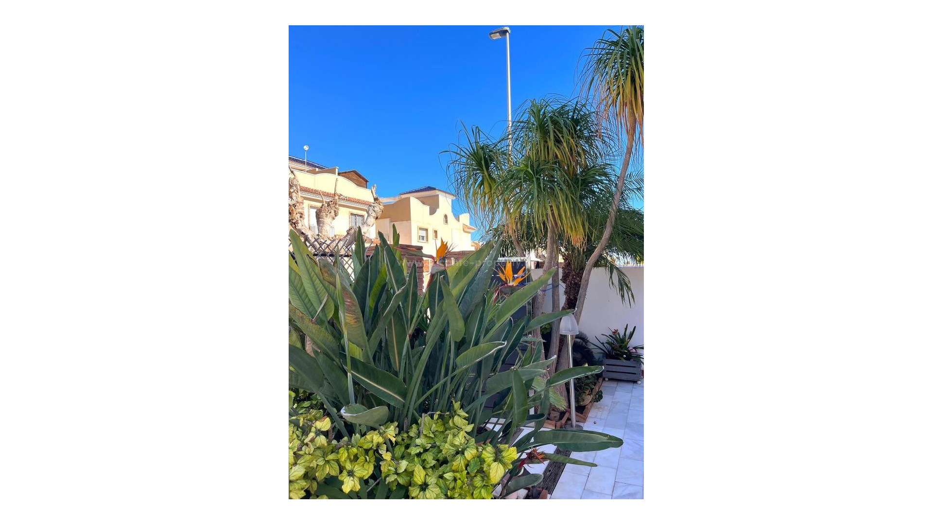 Hus / Villa i Torre De La Horadada