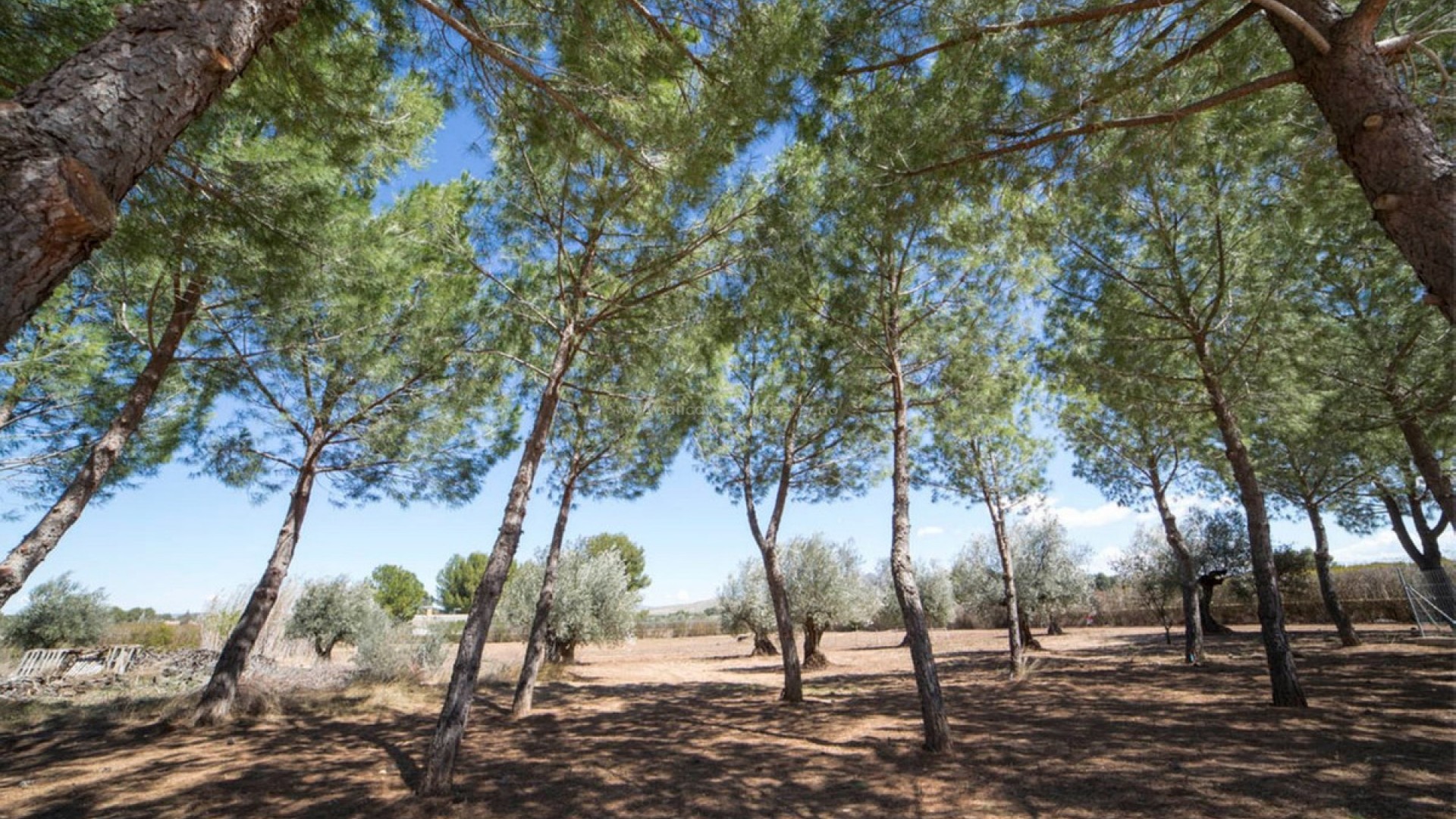 Hus / Villa i Yecla Centro