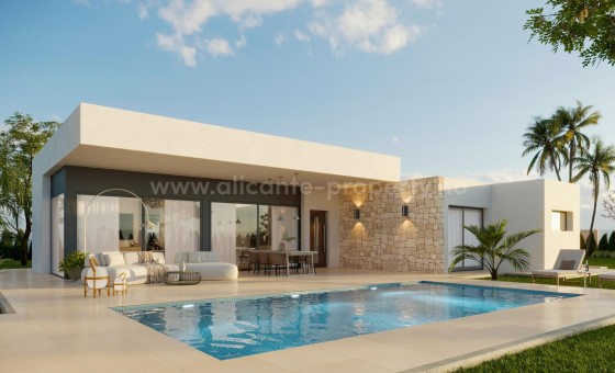 Hus / Villa - Nybygg - Aspe - Poligono 19