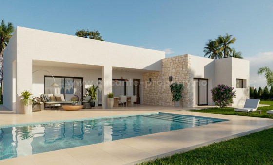 Hus / Villa - Nybygg - Aspe -
                Poligono 19