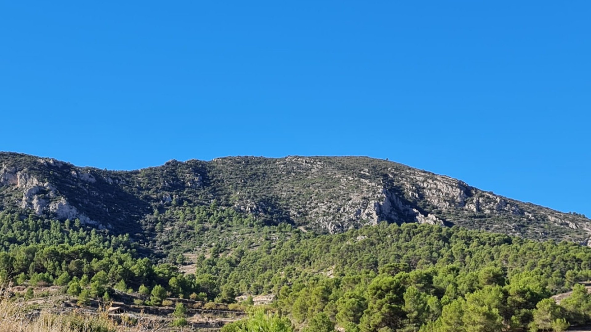 Jord i La Romana Centro