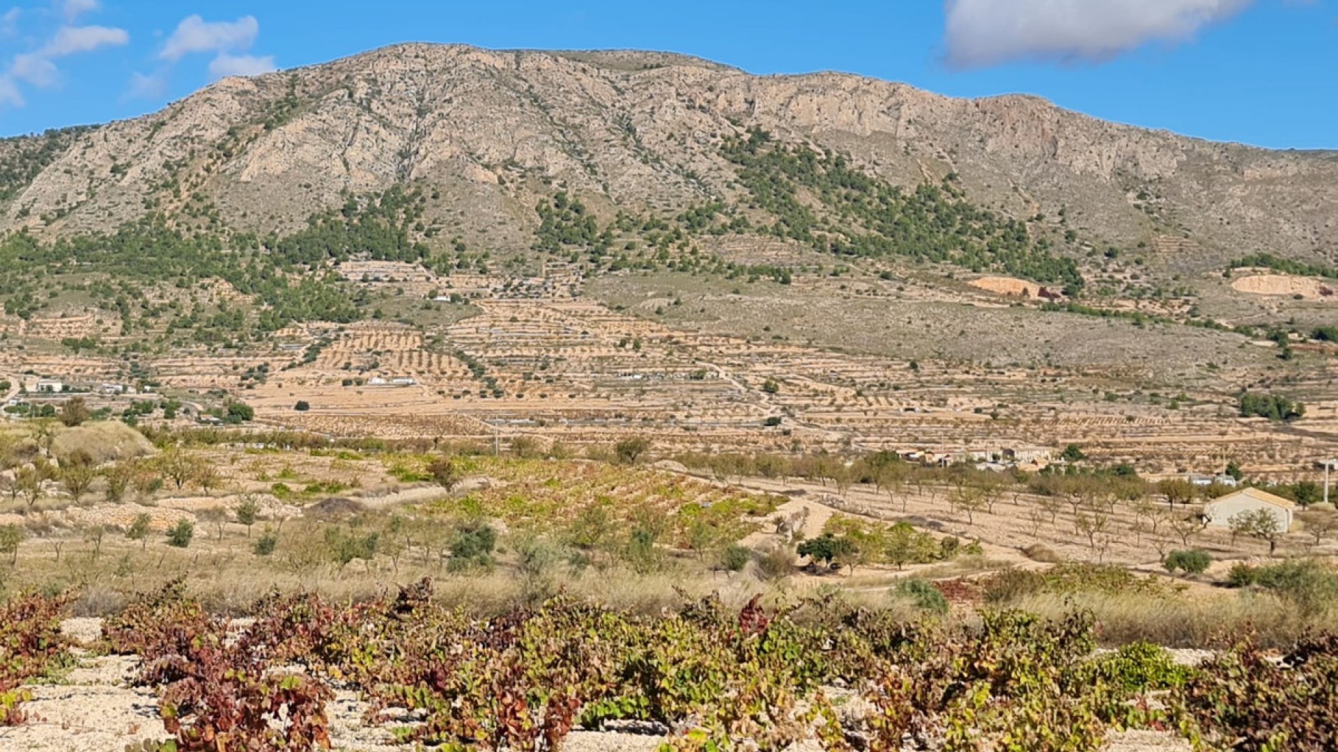 Jord i La Romana Centro