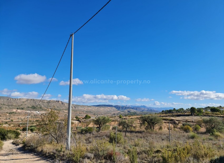 Land in La Romana Centro