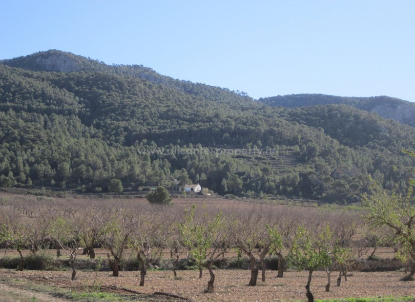 Land in Villena Centro