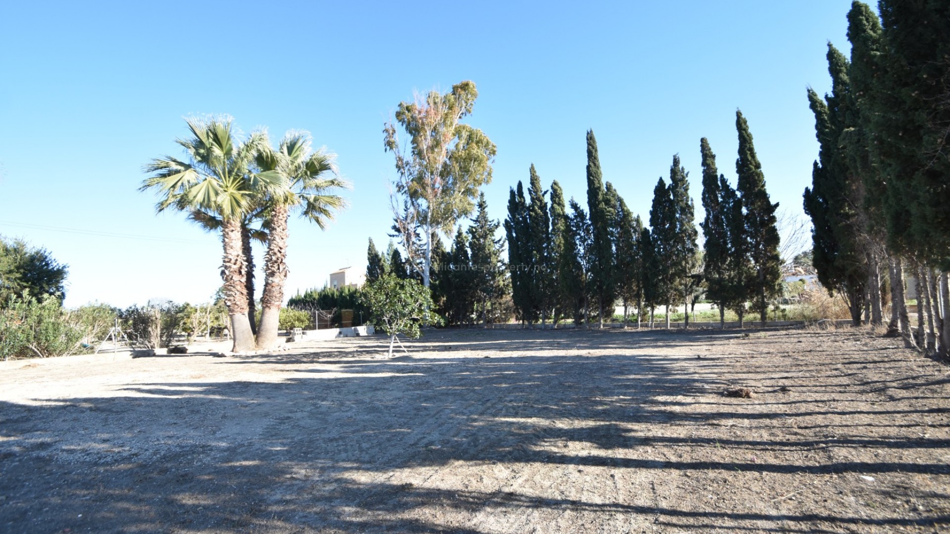 Landeiendom i Dolores