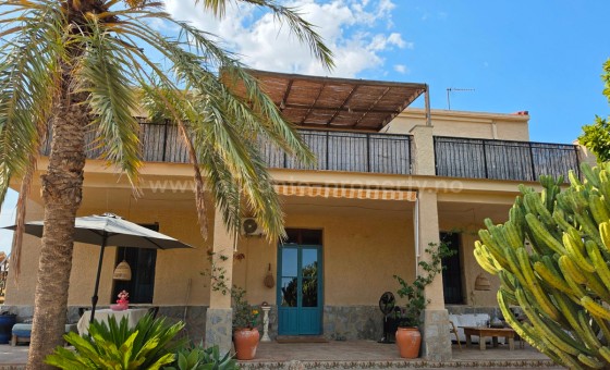 Landsted - Brukt bolig - Elche -
                Elche Centro