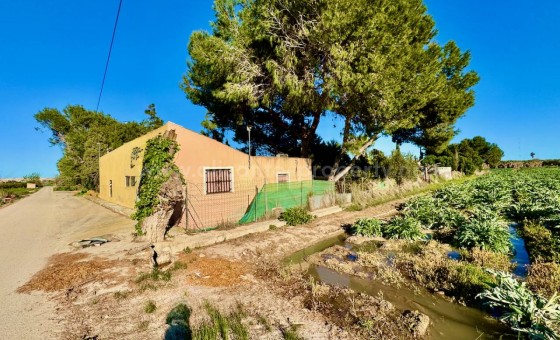 Landsted - Brukt bolig - Guardamar del Segura - Guardamar del Segura