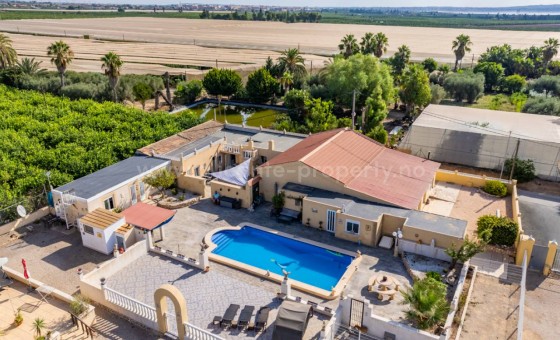Landsted - Brukt bolig - Los Montesinos - Los Montesinos