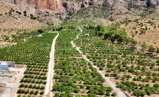 Landsted - Brukt bolig - Orihuela - Orihuela