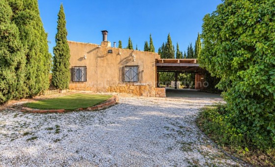 Landsted - Brukt bolig - PINOSO - Pinoso Centro