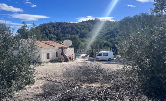 Landsted - Brukt bolig - Torremendo - Torremendo