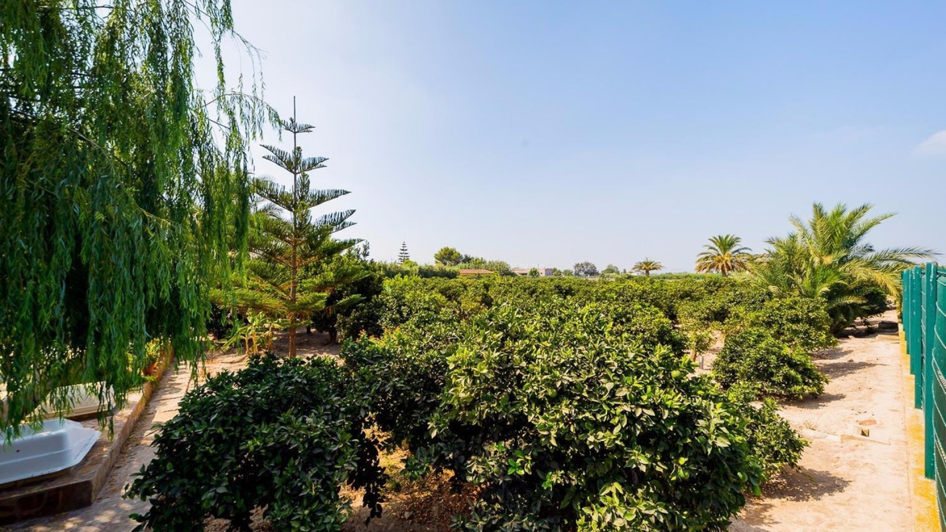 Landsted i Almoradi Centro