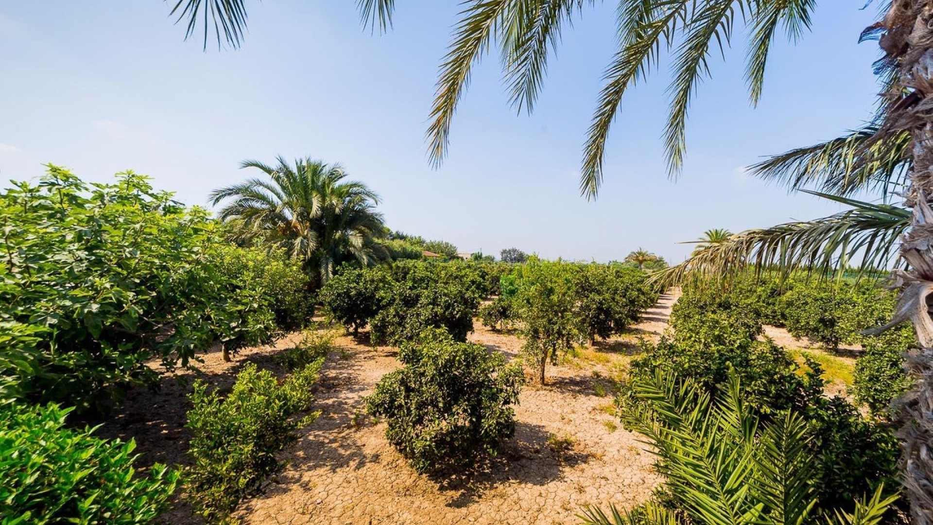 Landsted i Almoradi Centro