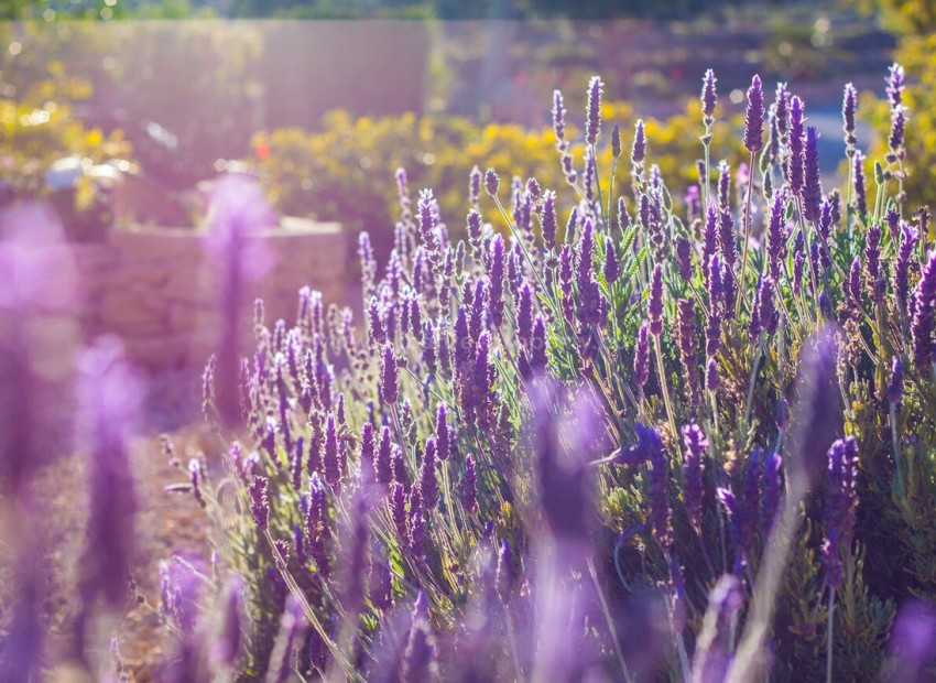 Landsted i Benissa Centro