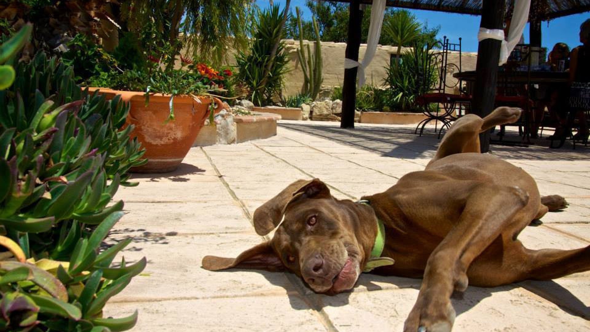 Landsted i Benissa Centro