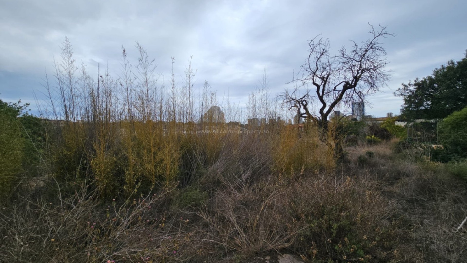 Landsted i Calpe Centro