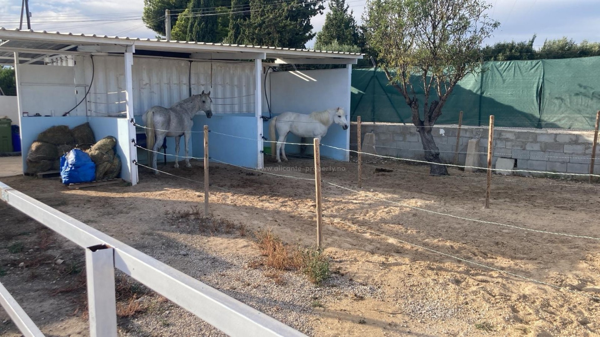 Landsted i Crevillente - Crevillent Centro