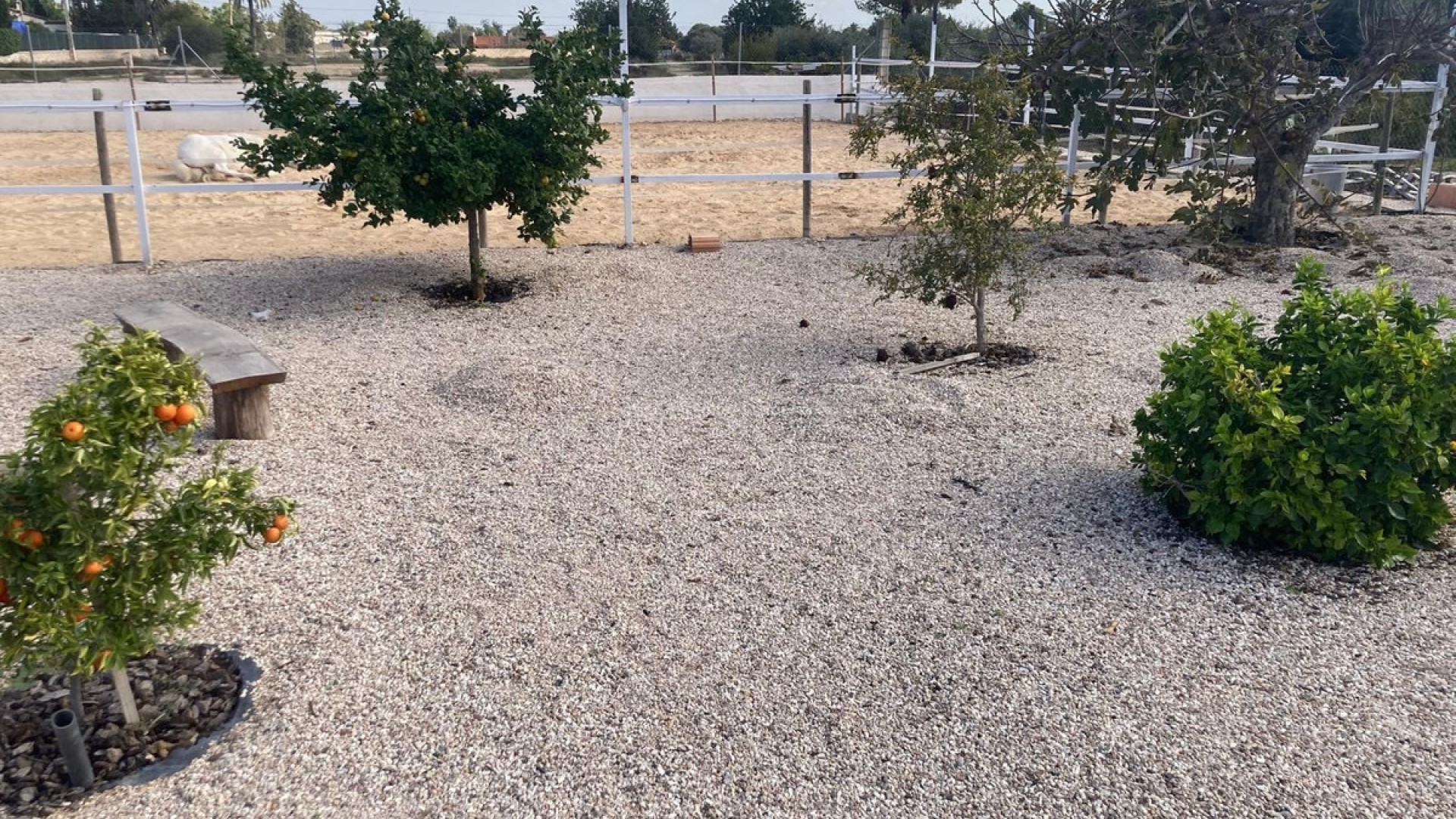 Landsted i Crevillente - Crevillent Centro