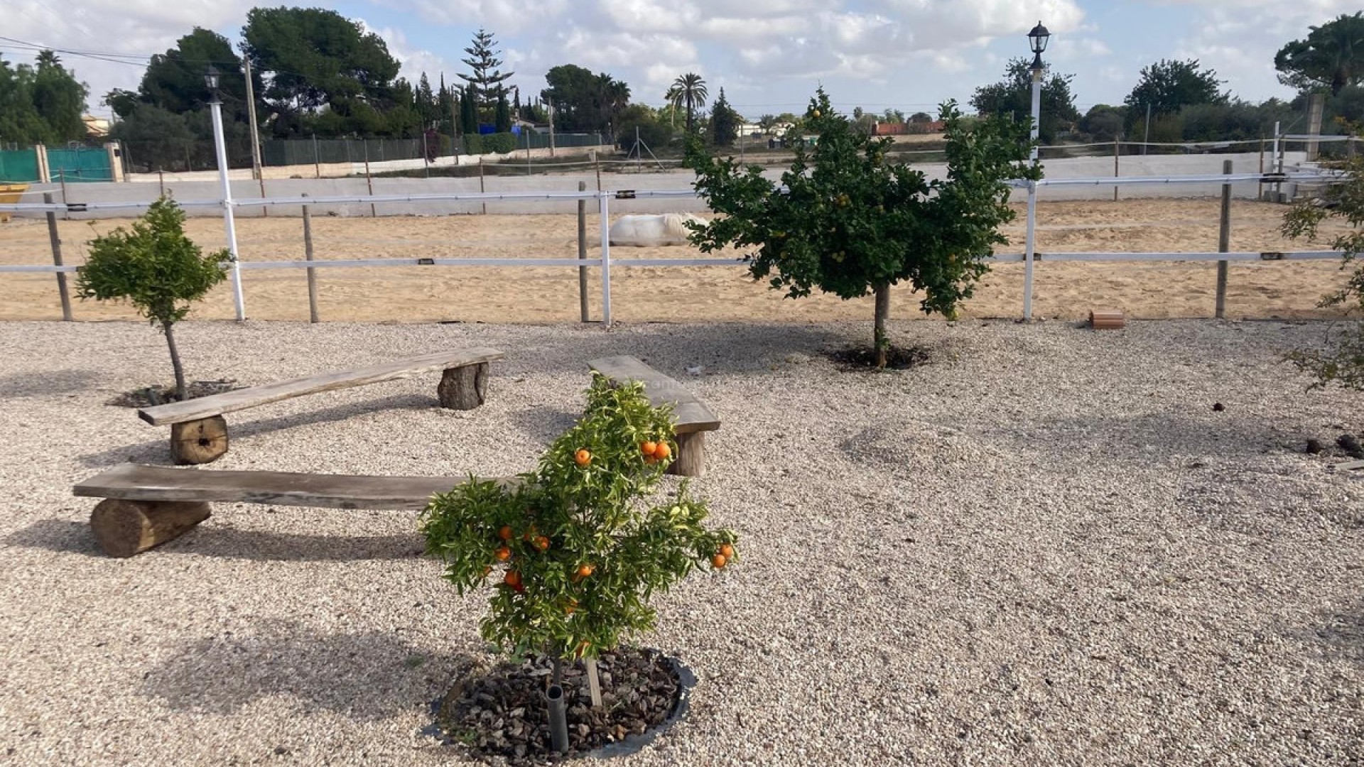 Landsted i Crevillente