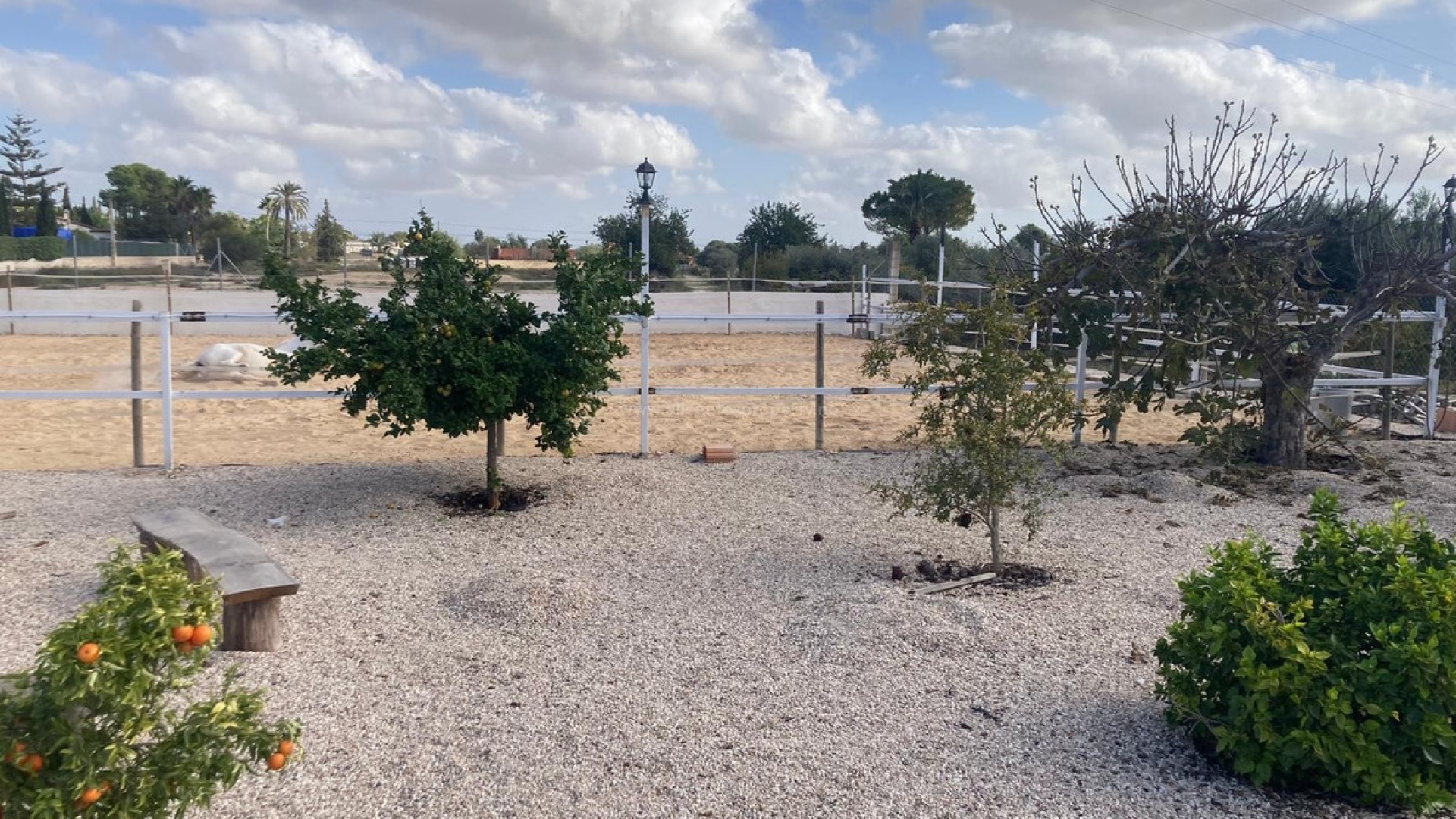 Landsted i Crevillente