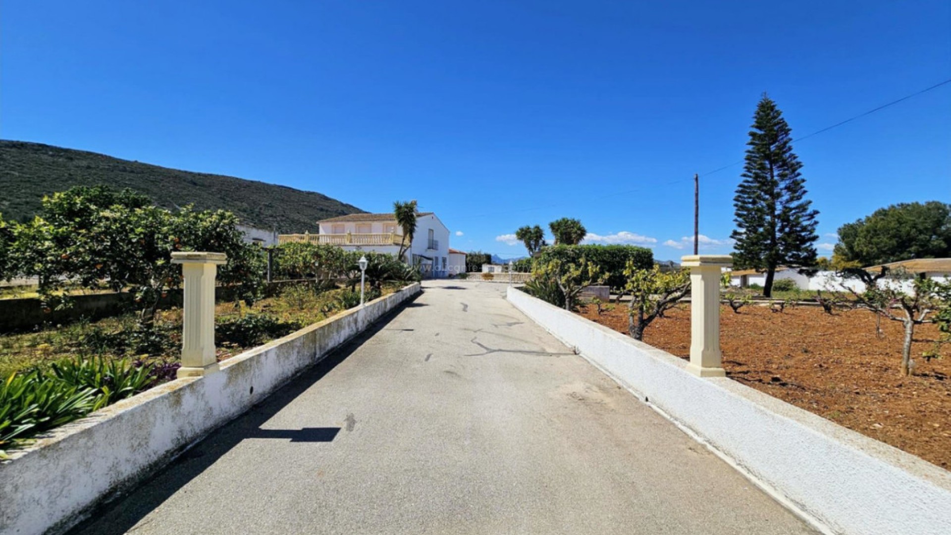 Landsted i Denia Centro