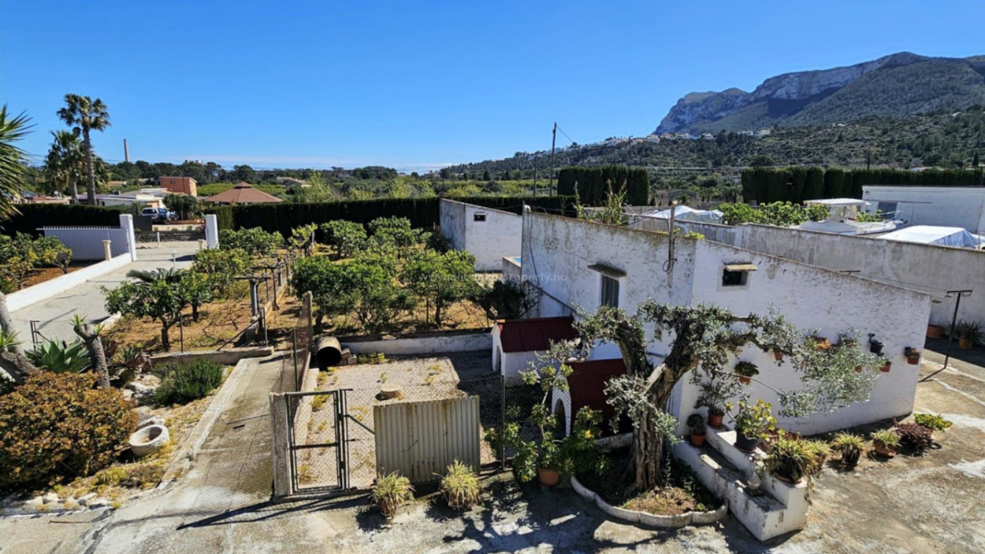 Landsted i Denia Centro