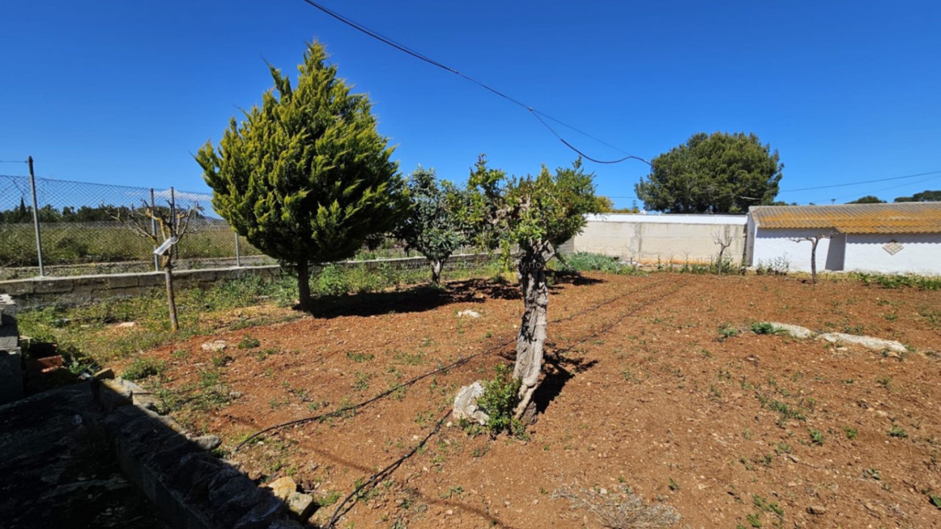 Landsted i Denia Centro